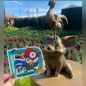Disney Hei Hei Annual Passholder Magnet